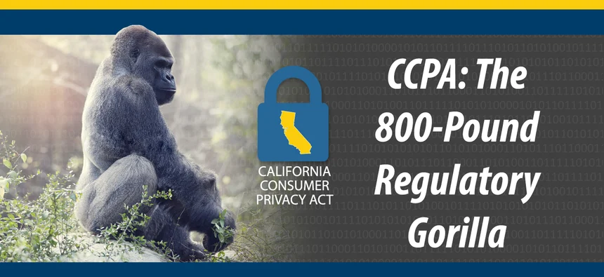 CCPA: The 800-Pound Regulatory Gorilla